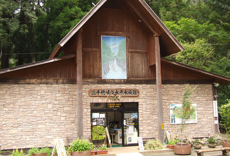 高千穂淡水魚水族館